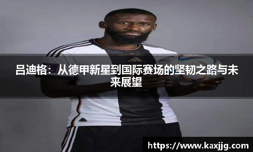 TVT体育网站